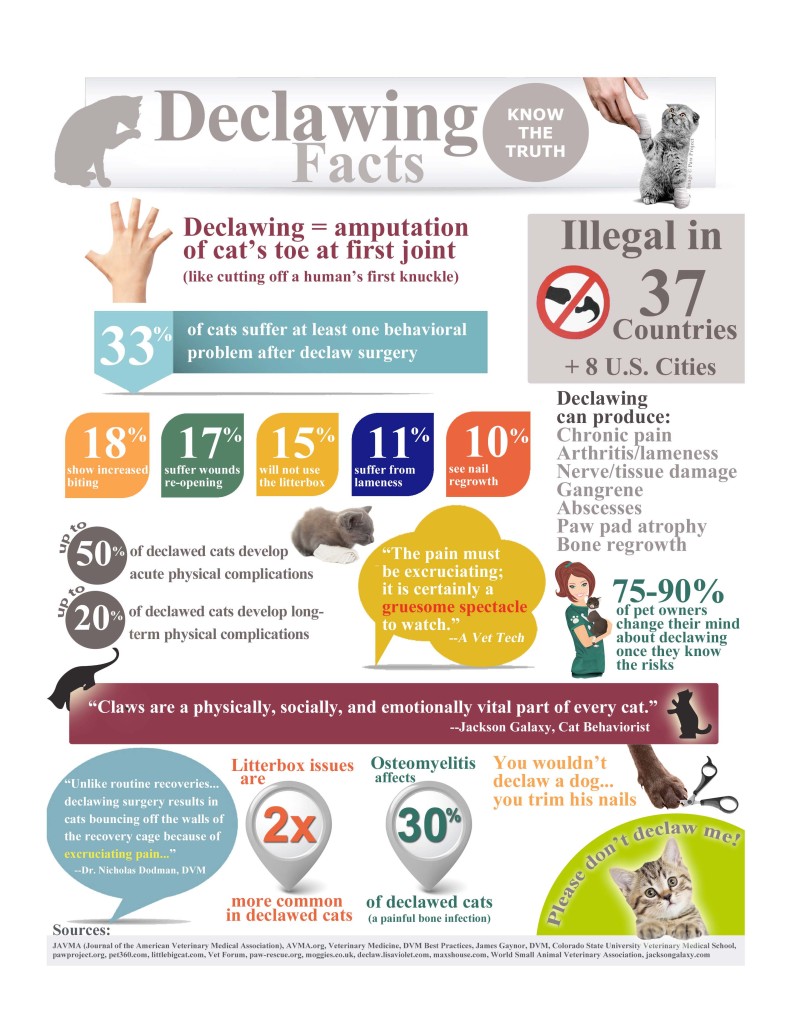 Declawing-Poster