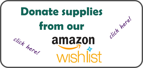List button wish amazon Before you